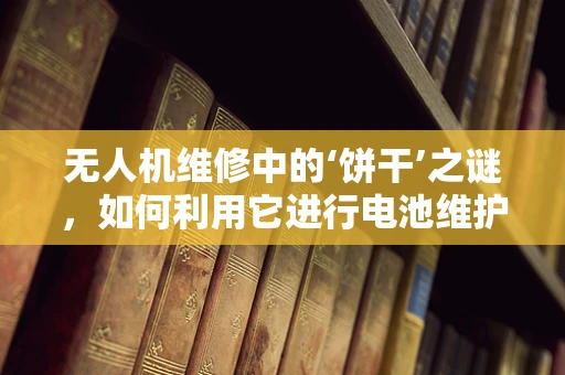 无人机维修中的‘饼干’之谜，如何利用它进行电池维护？