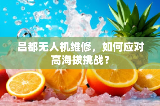 昌都无人机维修，如何应对高海拔挑战？