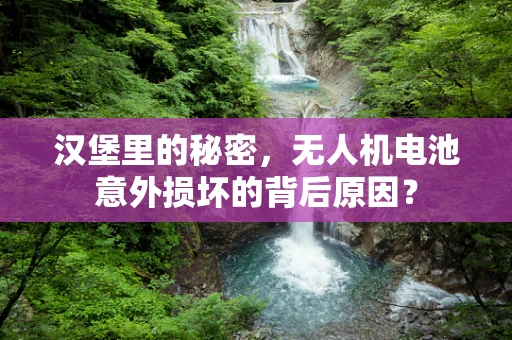 汉堡里的秘密，无人机电池意外损坏的背后原因？