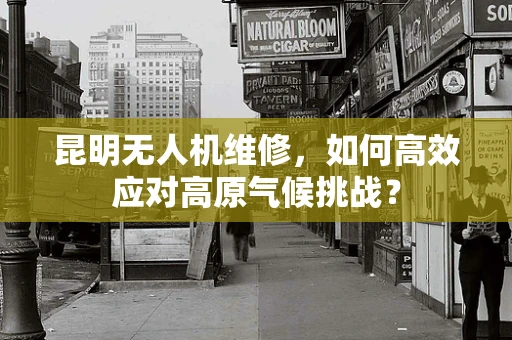 昆明无人机维修，如何高效应对高原气候挑战？