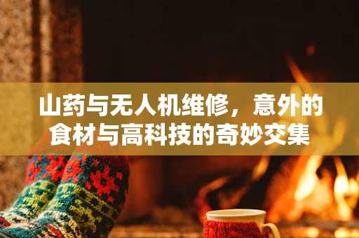 山药与无人机维修，意外的食材与高科技的奇妙交集