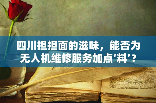 四川担担面的滋味，能否为无人机维修服务加点‘料’？