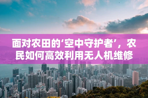 面对农田的‘空中守护者’，农民如何高效利用无人机维修服务？