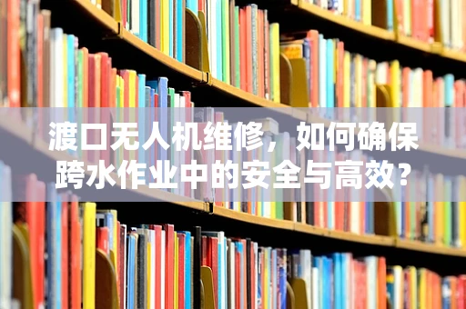 渡口无人机维修，如何确保跨水作业中的安全与高效？