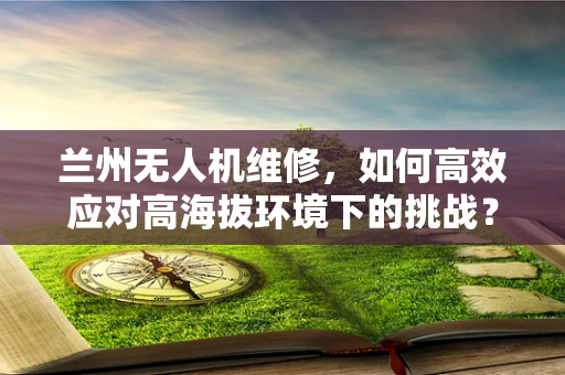 兰州无人机维修，如何高效应对高海拔环境下的挑战？