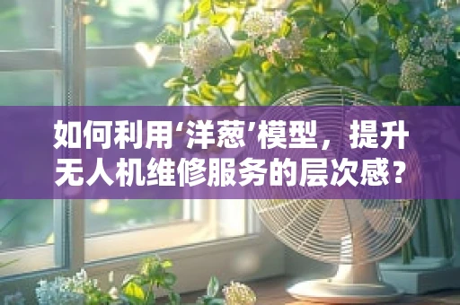 如何利用‘洋葱’模型，提升无人机维修服务的层次感？