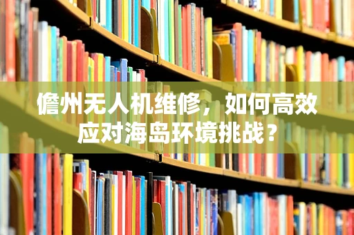 儋州无人机维修，如何高效应对海岛环境挑战？