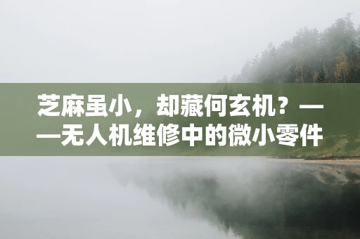 芝麻虽小，却藏何玄机？——无人机维修中的微小零件管理