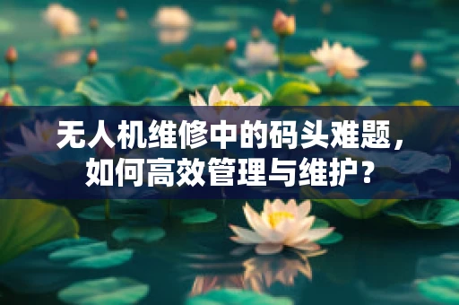 无人机维修中的码头难题，如何高效管理与维护？