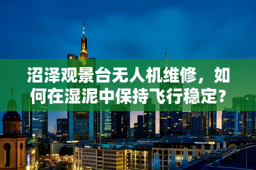 沼泽观景台无人机维修，如何在湿泥中保持飞行稳定？