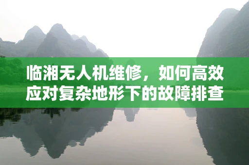 临湘无人机维修，如何高效应对复杂地形下的故障排查？