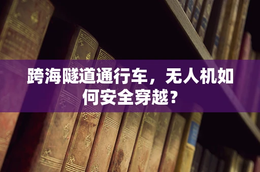 跨海隧道通行车，无人机如何安全穿越？