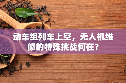 动车组列车上空，无人机维修的特殊挑战何在？