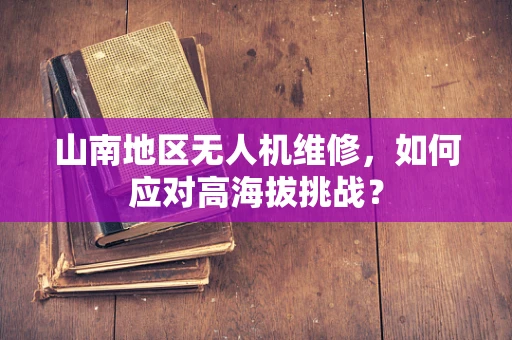 山南地区无人机维修，如何应对高海拔挑战？