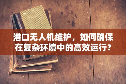 港口无人机维护，如何确保在复杂环境中的高效运行？