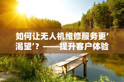 如何让无人机维修服务更‘渴望’？——提升客户体验的探索