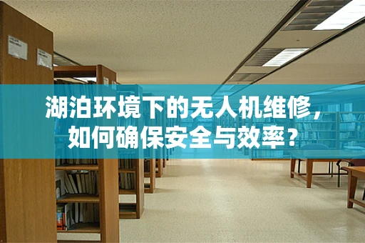 湖泊环境下的无人机维修，如何确保安全与效率？