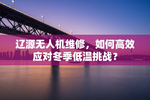 辽源无人机维修，如何高效应对冬季低温挑战？