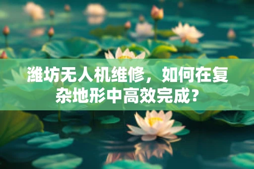 潍坊无人机维修，如何在复杂地形中高效完成？