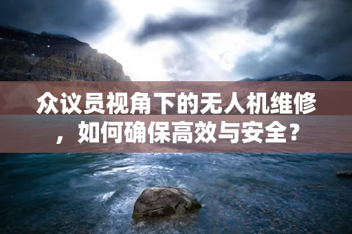 众议员视角下的无人机维修，如何确保高效与安全？