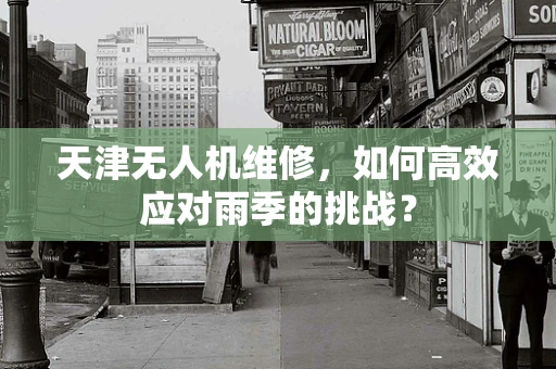 天津无人机维修，如何高效应对雨季的挑战？