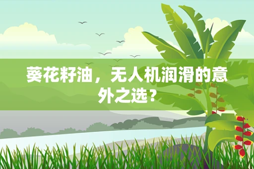 葵花籽油，无人机润滑的意外之选？