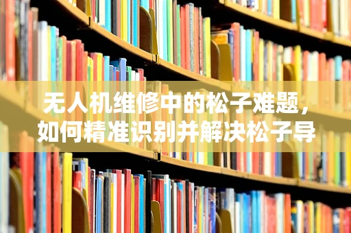 无人机维修中的松子难题，如何精准识别并解决松子导致的飞行故障？