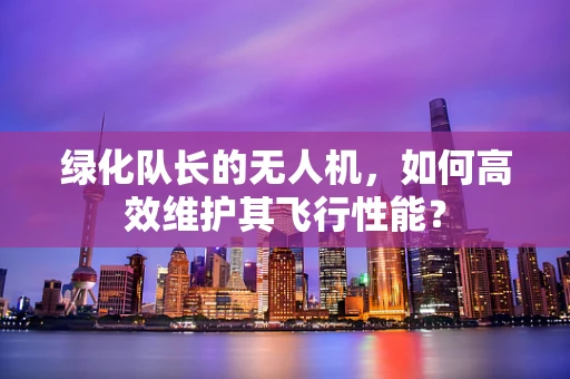 绿化队长的无人机，如何高效维护其飞行性能？