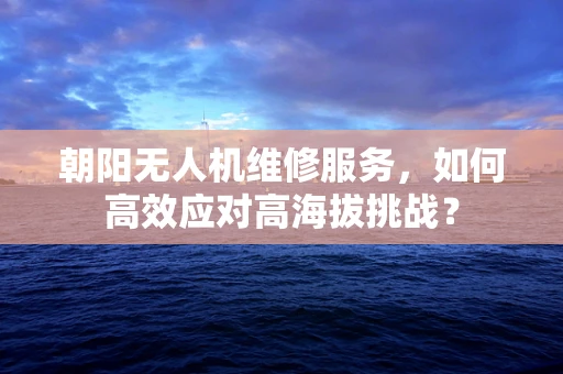 朝阳无人机维修服务，如何高效应对高海拔挑战？