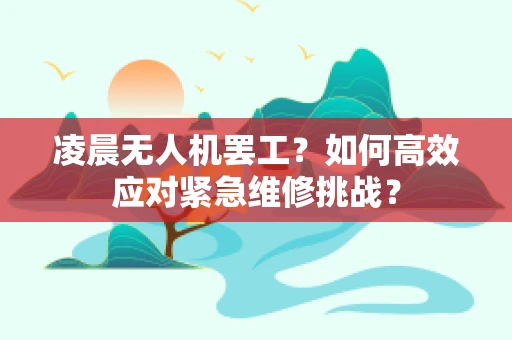 凌晨无人机罢工？如何高效应对紧急维修挑战？