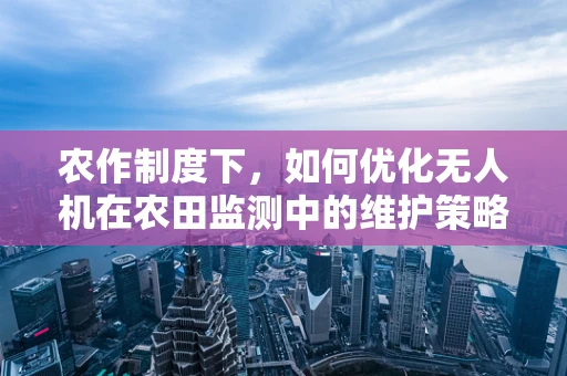 农作制度下，如何优化无人机在农田监测中的维护策略？