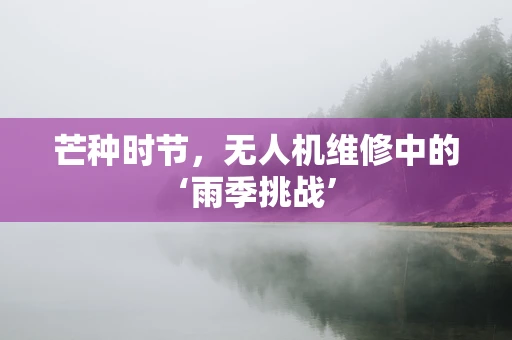 芒种时节，无人机维修中的‘雨季挑战’