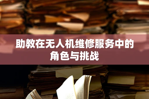 助教在无人机维修服务中的角色与挑战