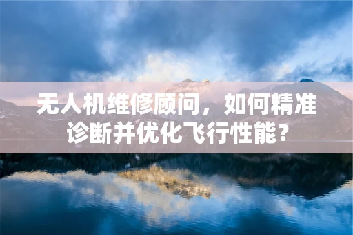 无人机维修顾问，如何精准诊断并优化飞行性能？