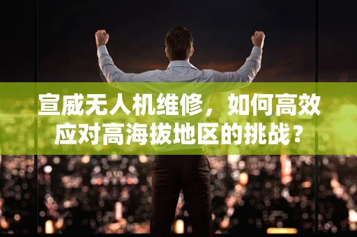 宣威无人机维修，如何高效应对高海拔地区的挑战？