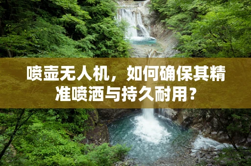 喷壶无人机，如何确保其精准喷洒与持久耐用？