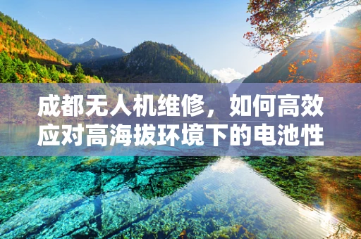 成都无人机维修，如何高效应对高海拔环境下的电池性能挑战？