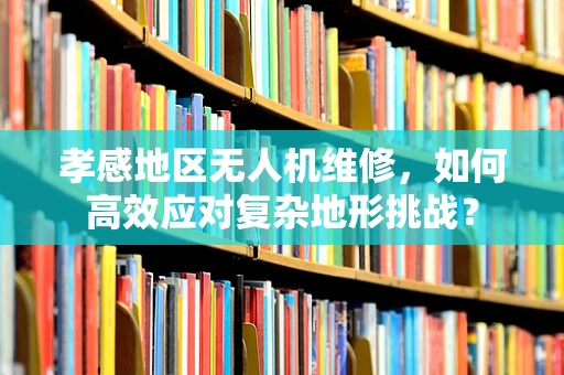 孝感地区无人机维修，如何高效应对复杂地形挑战？