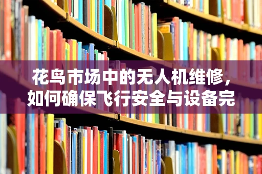 花鸟市场中的无人机维修，如何确保飞行安全与设备完好？