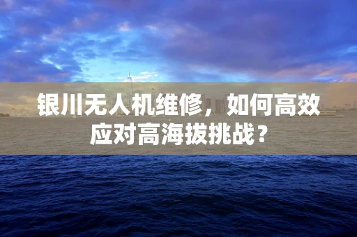 银川无人机维修，如何高效应对高海拔挑战？