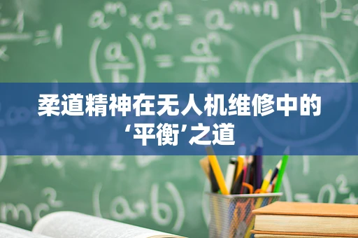 柔道精神在无人机维修中的‘平衡’之道