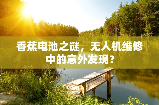 香蕉电池之谜，无人机维修中的意外发现？