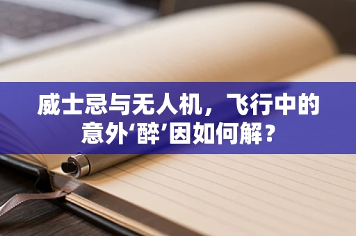 威士忌与无人机，飞行中的意外‘醉’因如何解？