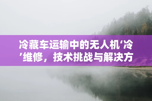 冷藏车运输中的无人机‘冷’维修，技术挑战与解决方案？