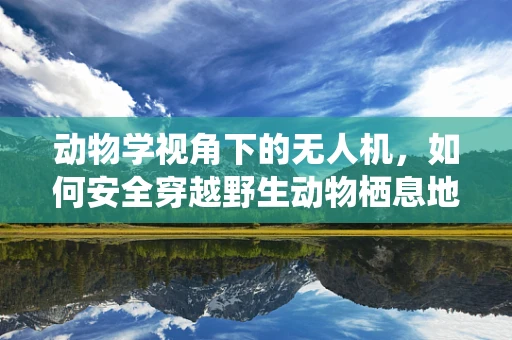 动物学视角下的无人机，如何安全穿越野生动物栖息地？