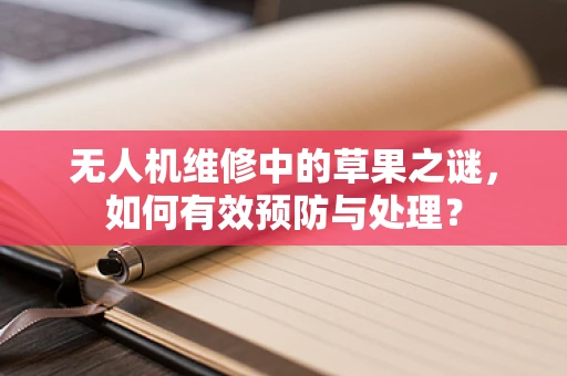 无人机维修中的草果之谜，如何有效预防与处理？