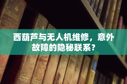 西葫芦与无人机维修，意外故障的隐秘联系？