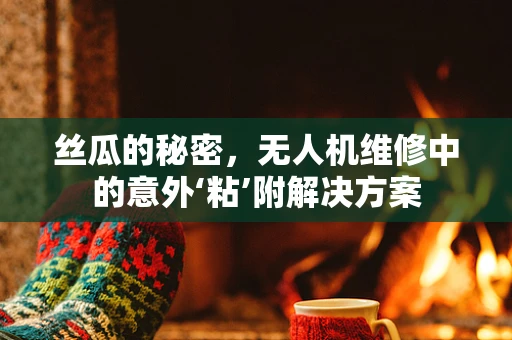 丝瓜的秘密，无人机维修中的意外‘粘’附解决方案