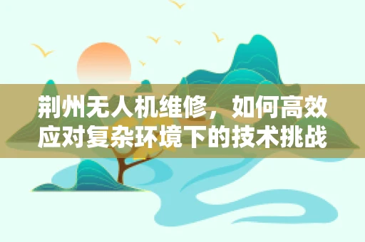 荆州无人机维修，如何高效应对复杂环境下的技术挑战？