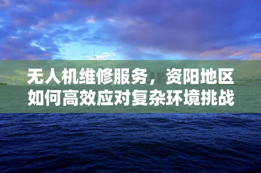 无人机维修服务，资阳地区如何高效应对复杂环境挑战？